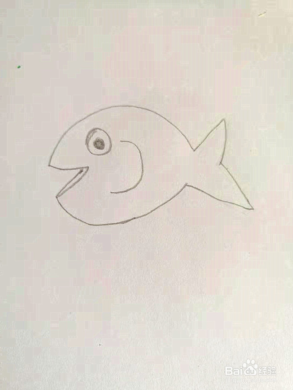 幼儿园简笔画教程：小鱼