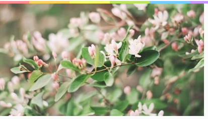 怎么自动更换壁纸呢