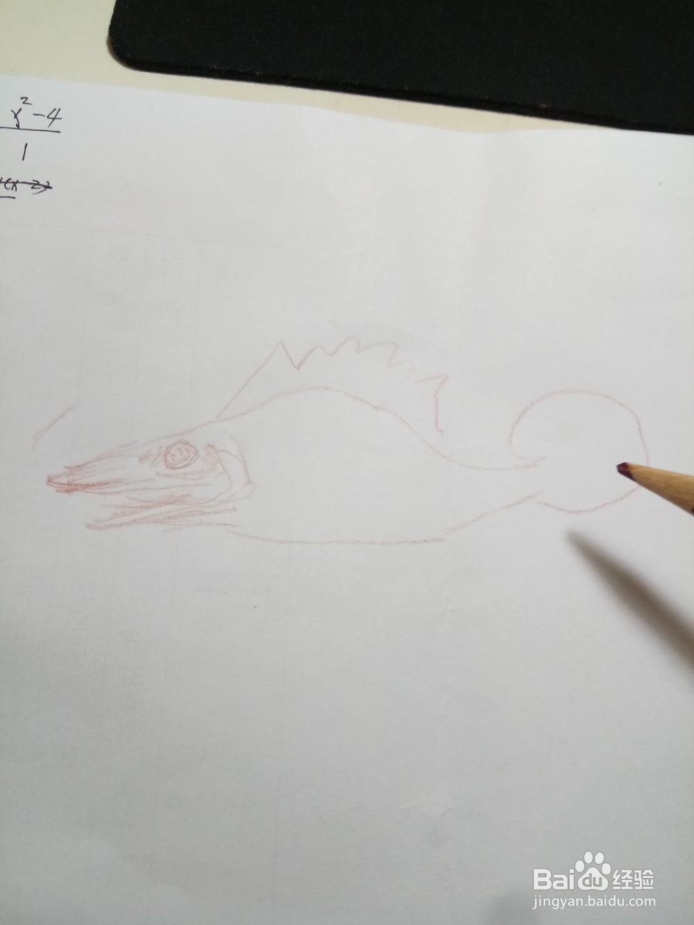 简笔鳜鱼画法
