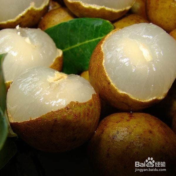 在重庆教你怎样方便的采摘龙眼