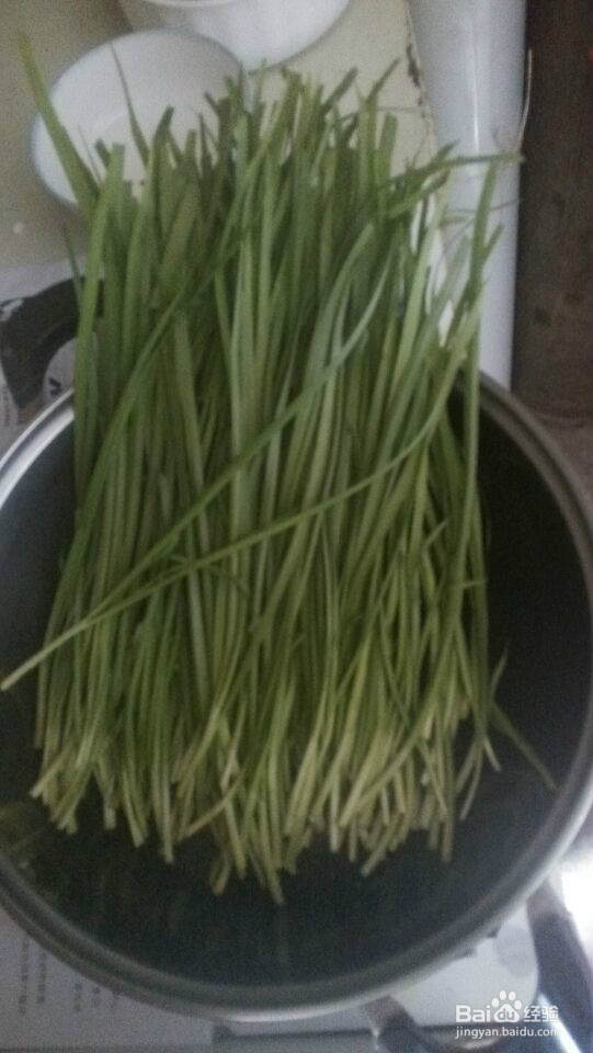 吃了还想吃的素韭菜水饺