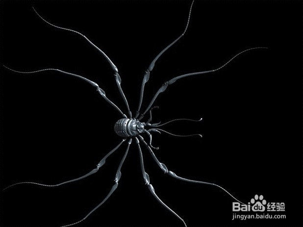 3dmax制作外景湿地场景流程