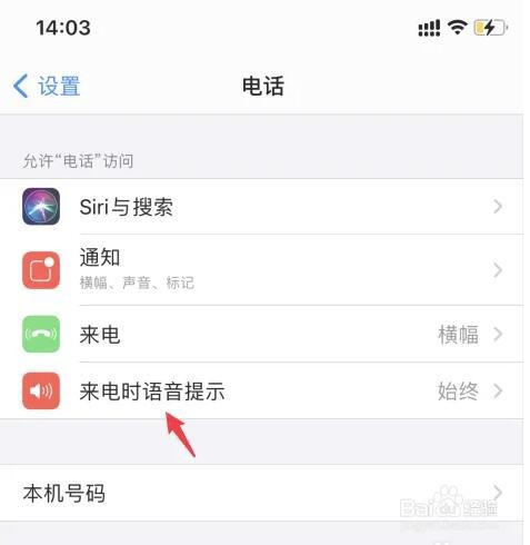 苹果手机怎么关闭来电时语音提示对方姓名