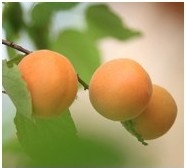 怀孕期间的那些事