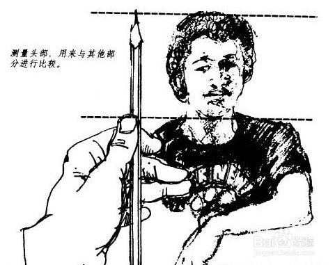 初学者学画素描时怎么量比例