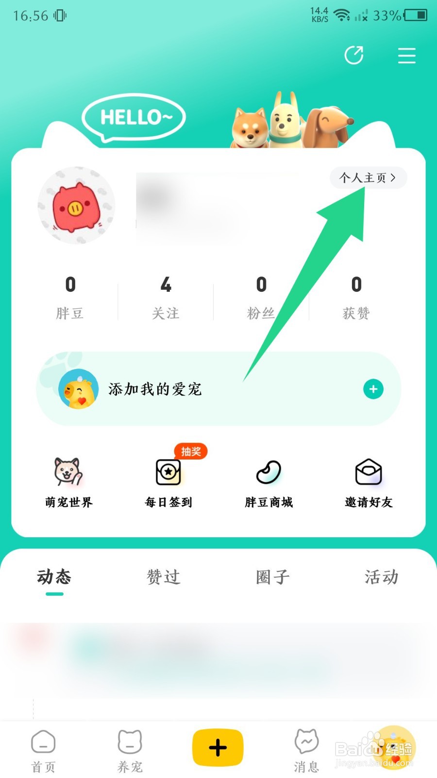 宠胖胖怎么更改昵称