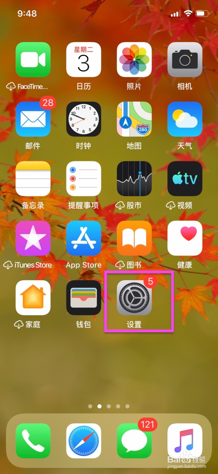 iPhone怎么更改字体大小