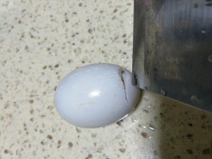 这样的鸡蛋你没有吃过吧-糯米蛋