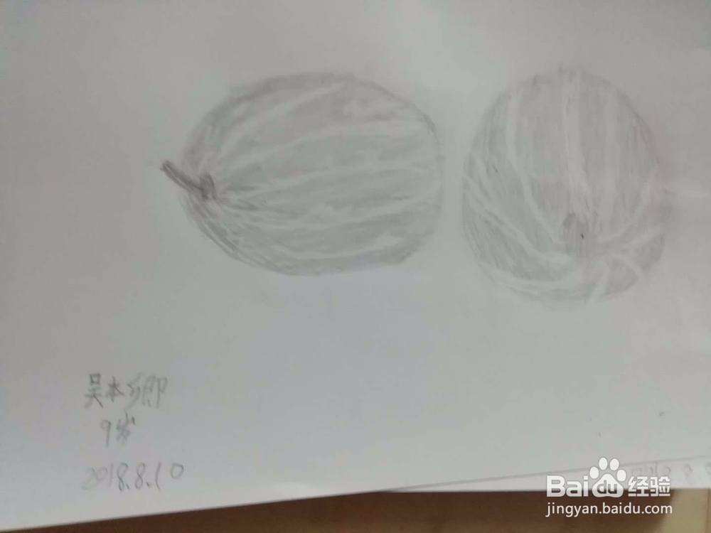 素描静物蔬菜水果——西瓜怎么画