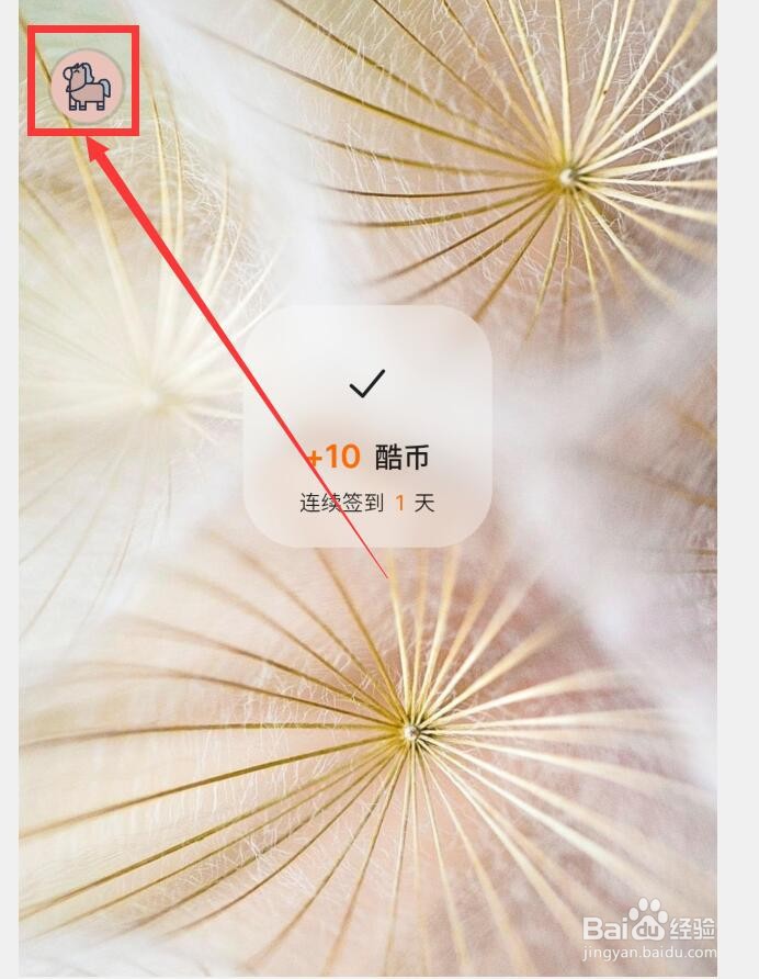 不背单词APP怎么设置外观跟随系统