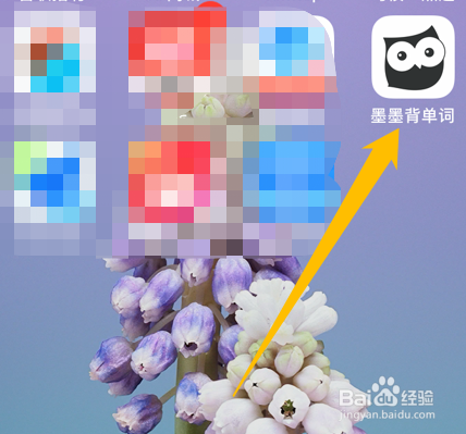 如何设置墨墨背单词app的单词上限总量