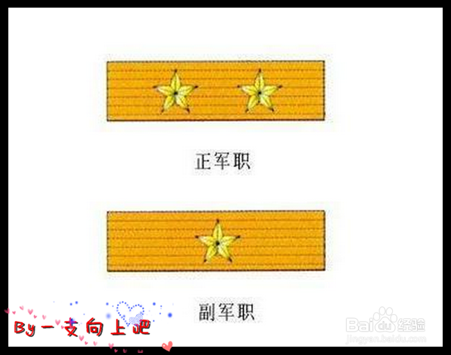 教你轻松看懂军人级别资历章、资历架、资历牌
