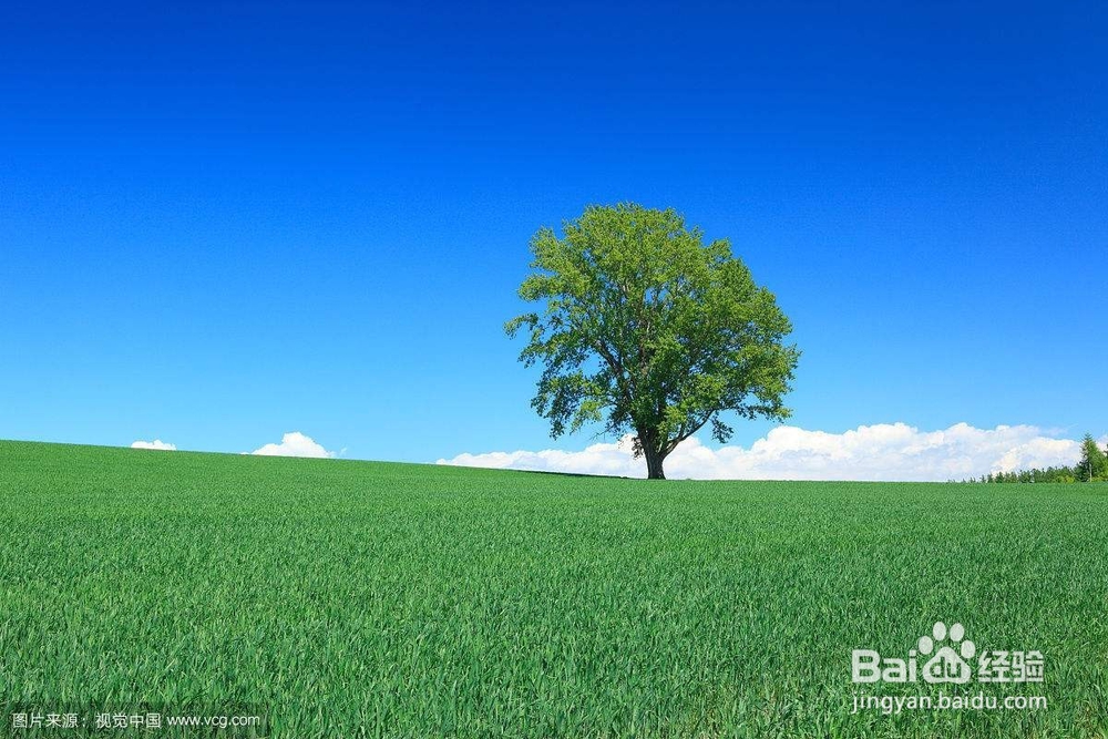 频振式杀虫灯在农业种植中可以得到普及吗?