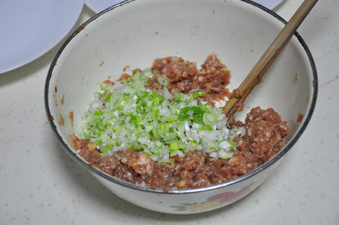 萝卜大肉酸汤饺子