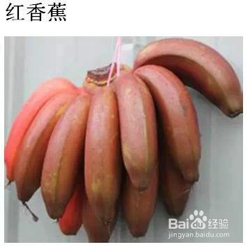 五月最该吃的应季水果，送给爱吃水果的你！