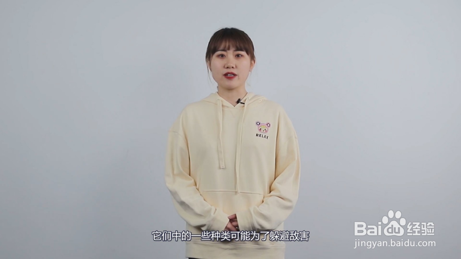 恐龙是怎么变成鸟类的