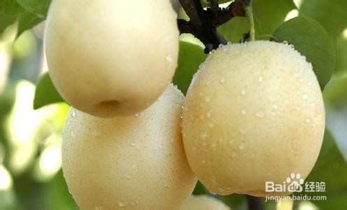 上火嗓子疼，不吃药怎么才能好得快