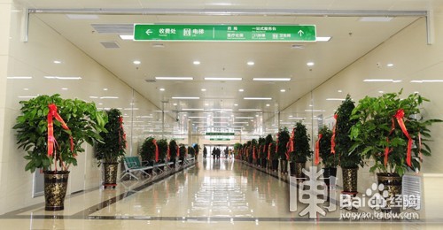 城镇居民基本医疗保险(新农保)怎么缴费和使用