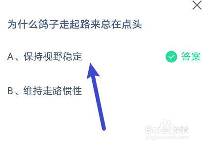 蚂蚁庄园：为什么鸽子走起路来总在点头