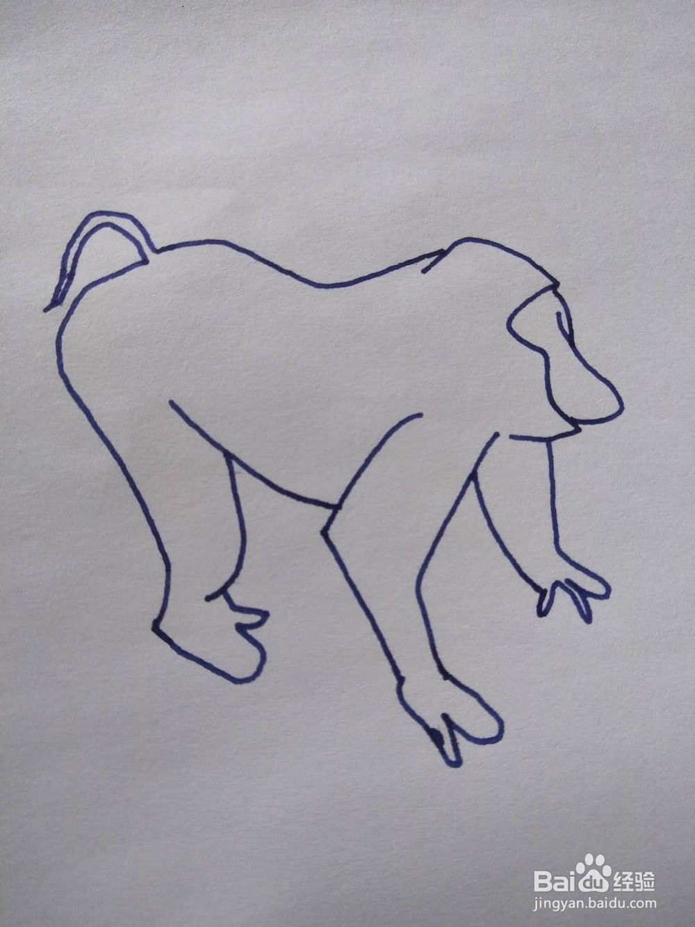简笔画之俯身猴子