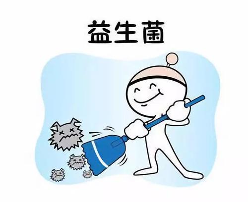 有益细菌有哪些