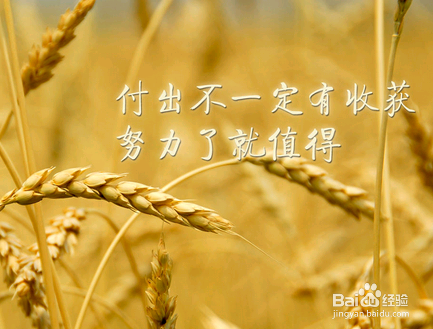 职场最大的失败，源于开始抱怨，抱怨的七大害！