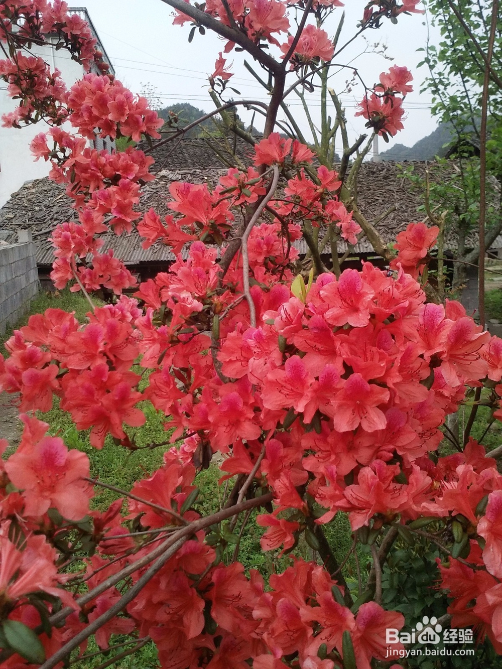 把旅游变成抓钱的办法
