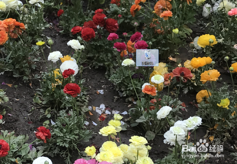 win7如何设置桌面图标随意摆放