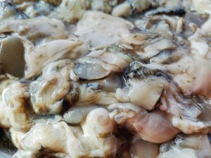 海蛎子萝卜丝猪肉饺子的做法