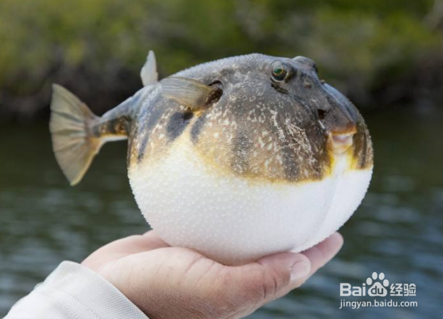 餐饮行业日常卫生与消毒有哪些方面