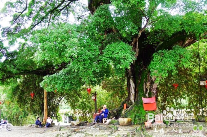 66@365【洪坑】土楼精华一日游