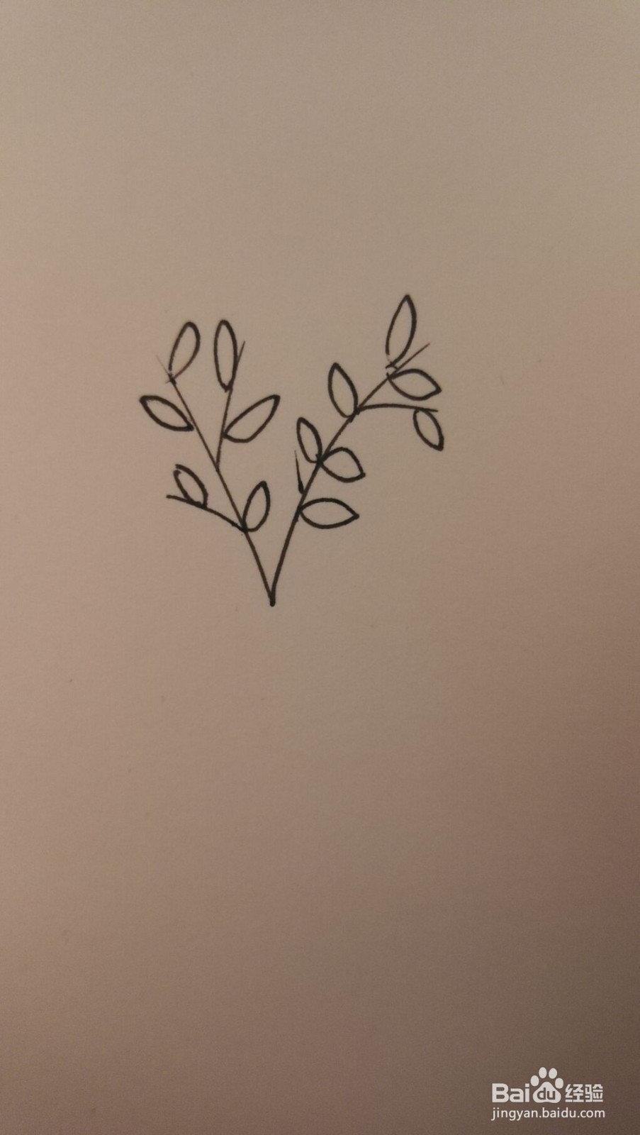 小草简笔画之画法四十八