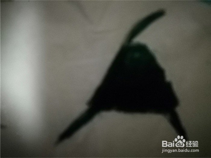 怎么样用简笔画画小粽子