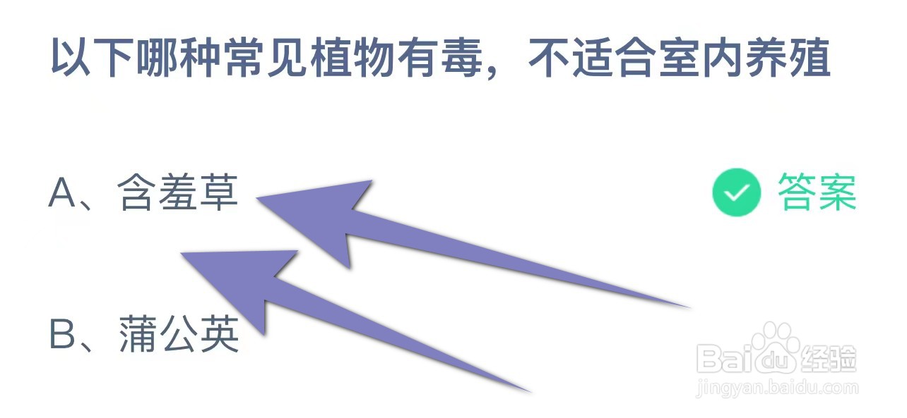 以下哪种常见植物有毒，不适合室内养殖