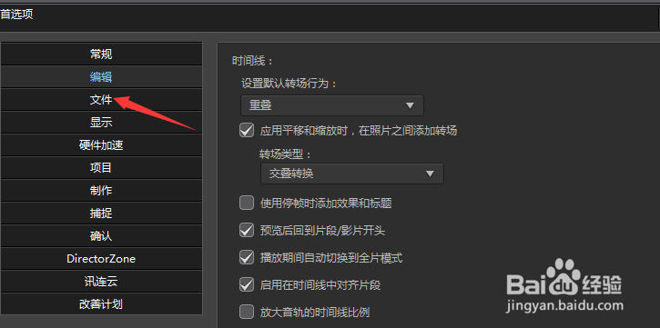 PDirector怎么关闭在文件前缀后追加时间信息