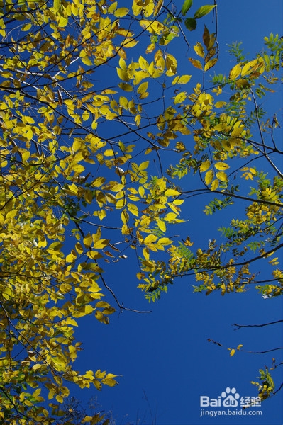 北京旅游攻略：[5]