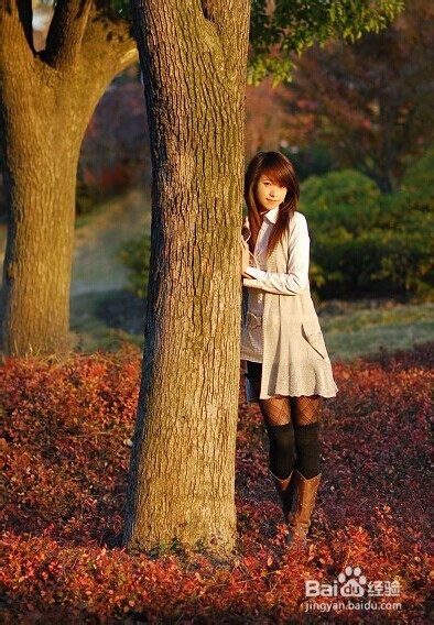 教你如何追到心仪的女孩子