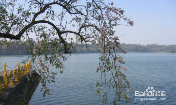 去高雄旅游时,去哪里游玩比较好?