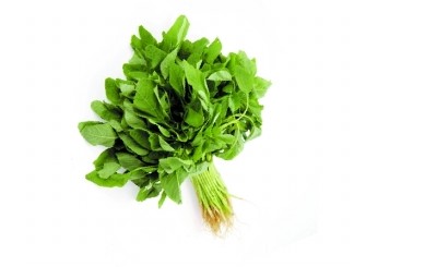 怎样正确选购蔬菜