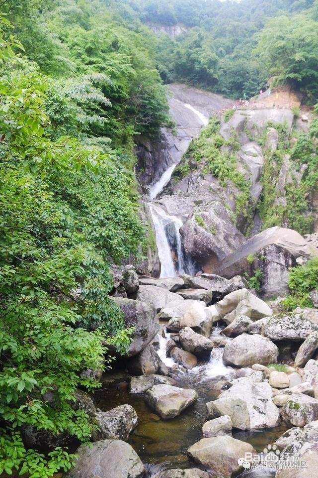 这才是云雾山游玩的正确方式