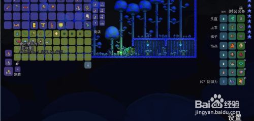 泰拉瑞亚怎么种夜光蘑菇 百度经验