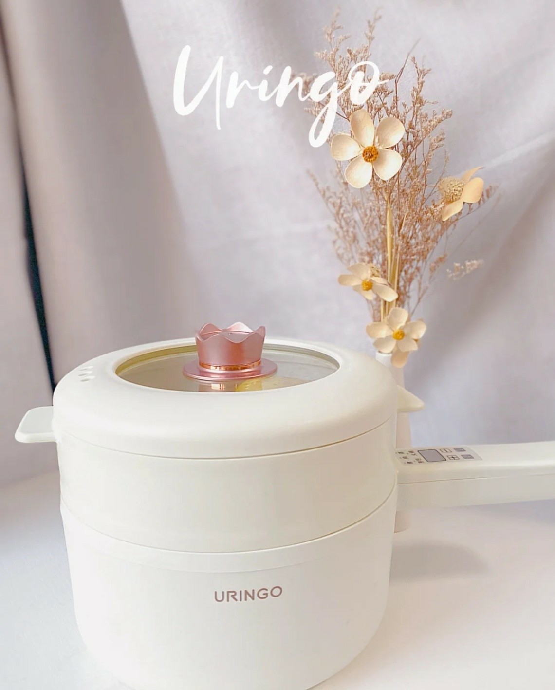 租房党必备，高颜值小家电分享~好看实用！