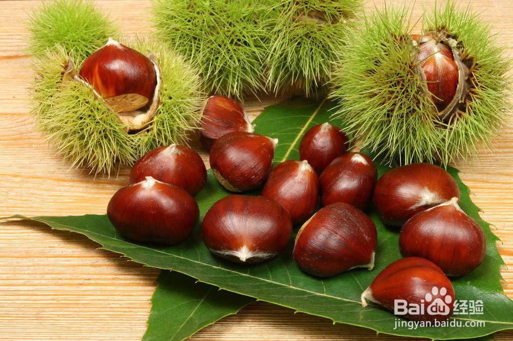 怎样挑选栗子?