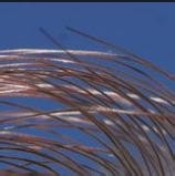 家庭主妇教你几个小妙招W