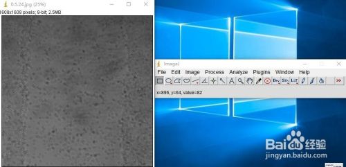 Image J软件计算限定区域内细胞数 百度经验