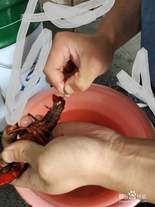夏天自己买小龙虾做如何处理最干净