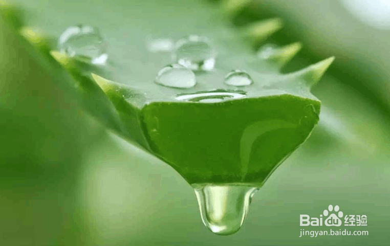 哪种面膜冷敷效果更好