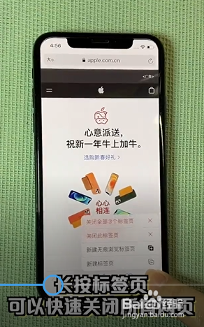 Safari浏览器的必备小技巧