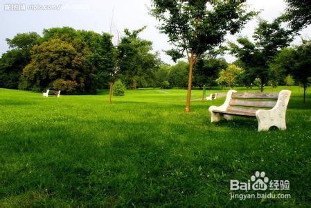 恋爱全攻略：[2]和女孩第一次约会