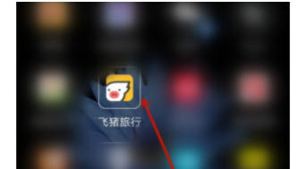 怎么修改飞猪旅行绑定的邮箱账号